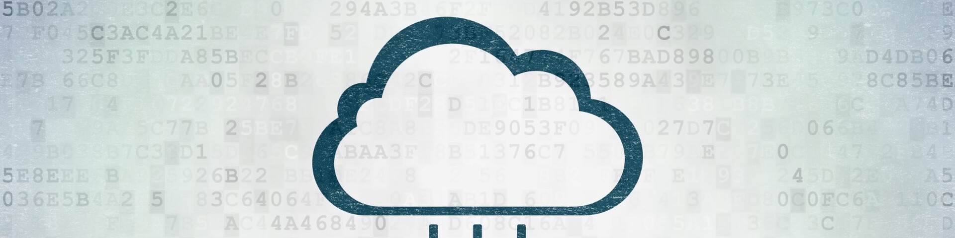 Software-as-a-Service: Das Zukunftskonzept für flexible Netzwerksicherheit