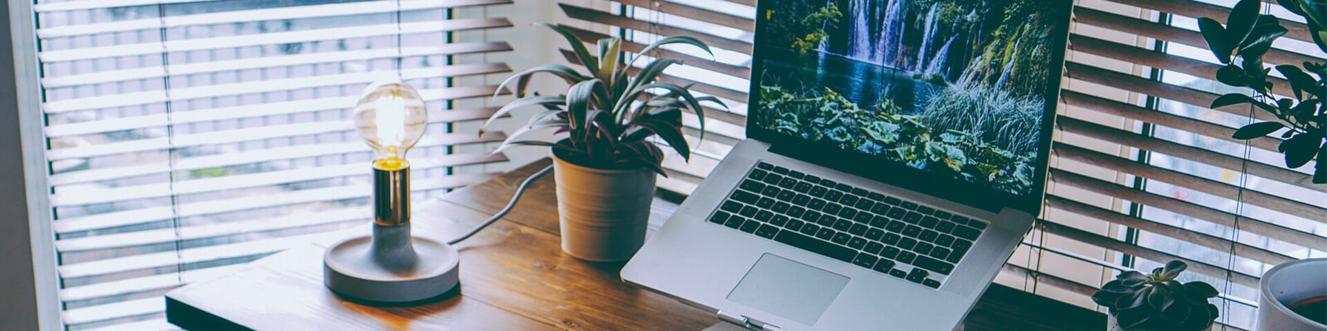 Are home-owners neglecting their networks?